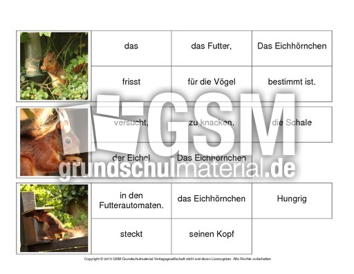 Sätze-bilden-Eichhörnchen 3.pdf
